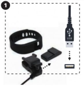 Actiiv Activity Tracker Pro User Manual - Remove the activity tracker from the wristband and connect to the micro USB cable