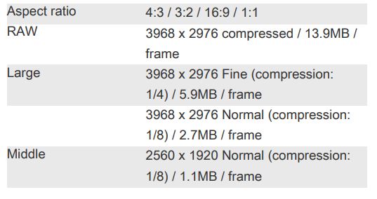 OLYMPUS STYLUS 1s Compact Digital Camera - Image Size