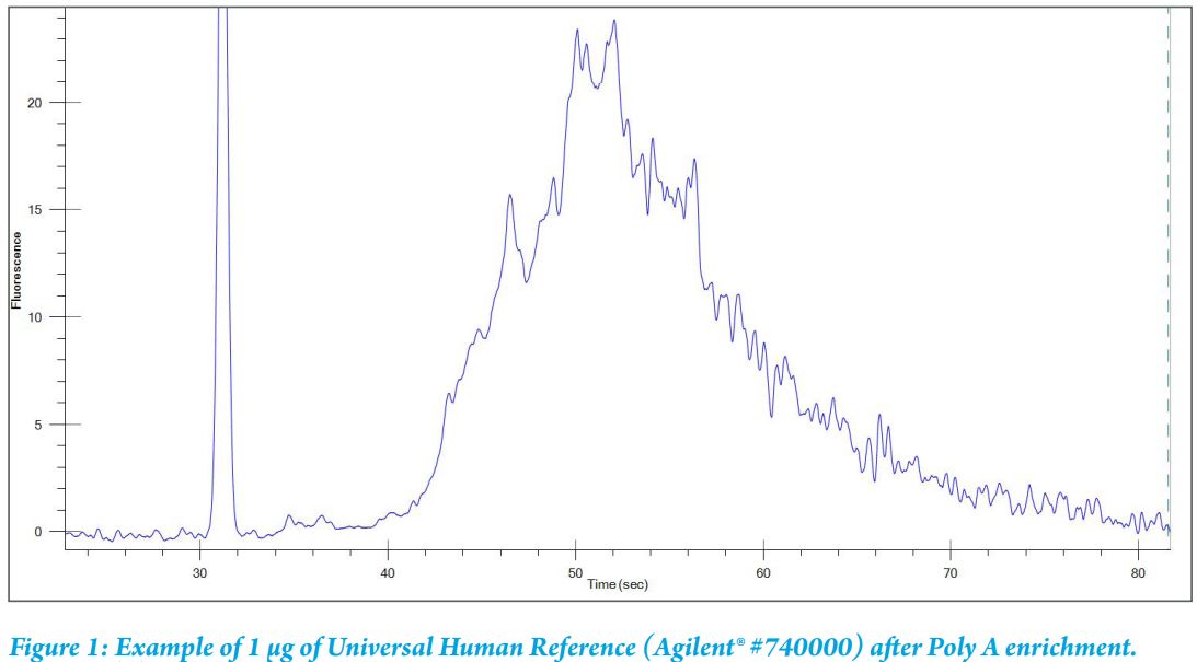 PerkinElmer NOVA-512991 NEXTFLEX Magnetic Beads User Manual - Fig 1