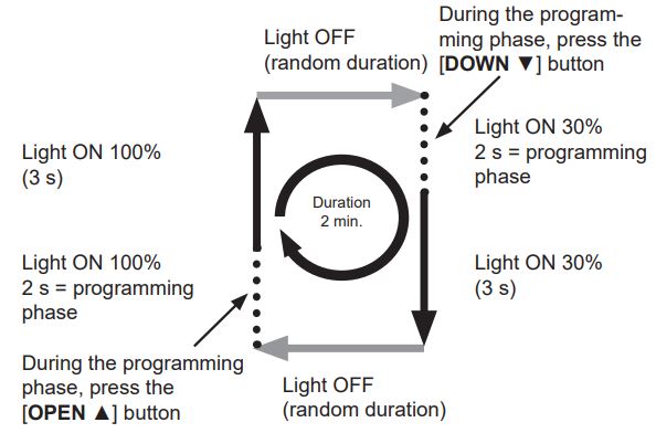 elero Combio-868 LI Built In Radio Receiver for Lighting Systems Instruction Manual - Diagram of programming mode