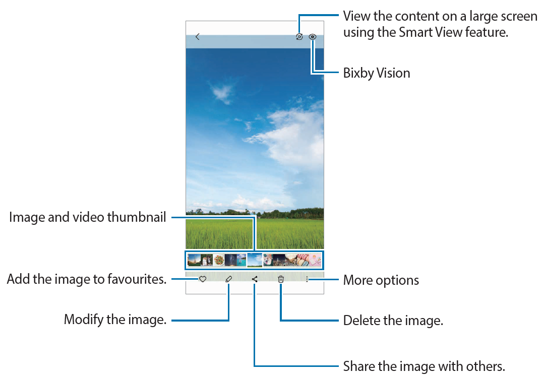 Samsung Galaxy Z Flip4 SM-F721B Viewing images