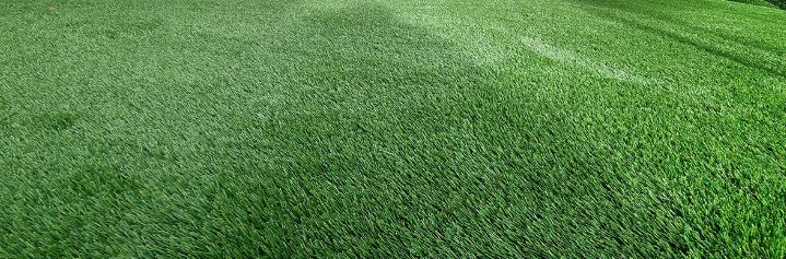 NFD Synthetic Turf Installation Guide - featured IMAGE